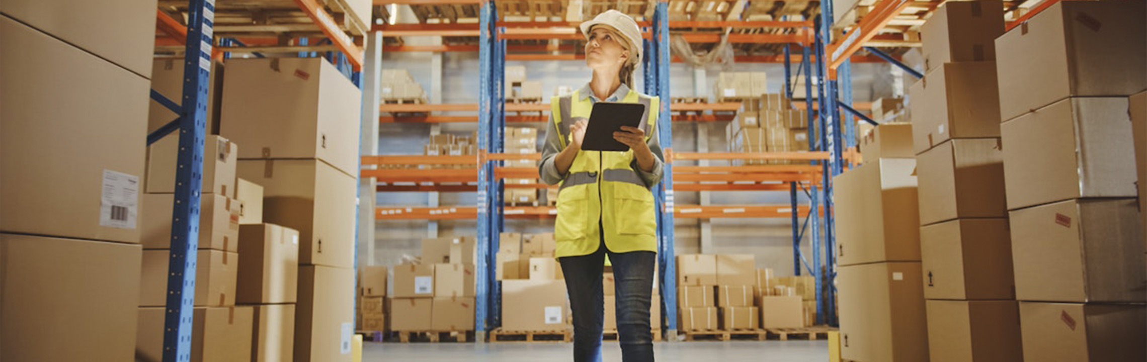 Услуги нашей компании